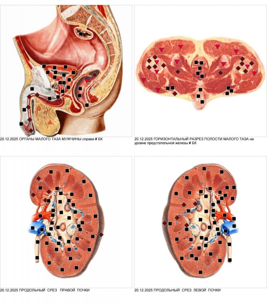 photo_2026-01-25_12-42-53